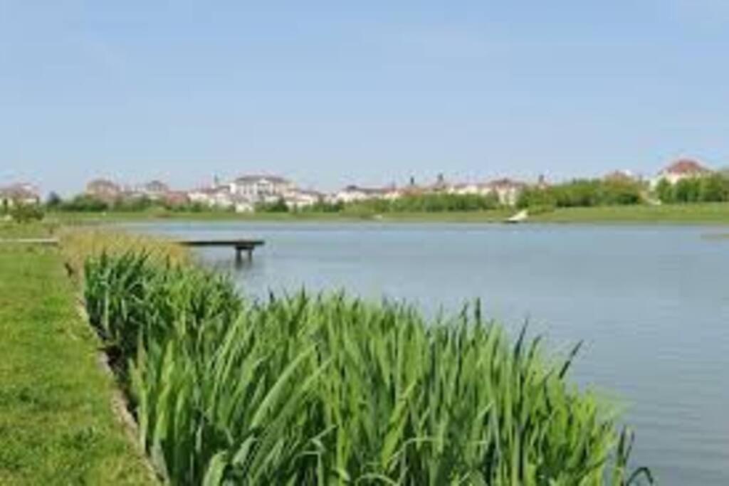 Cosy flat Apartment Bussy-Saint-Georges Luaran gambar